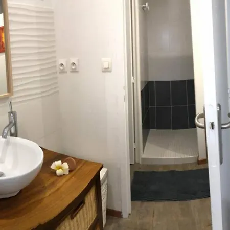 Appartamento Superbe Logement Centre Ville Avec Jardin