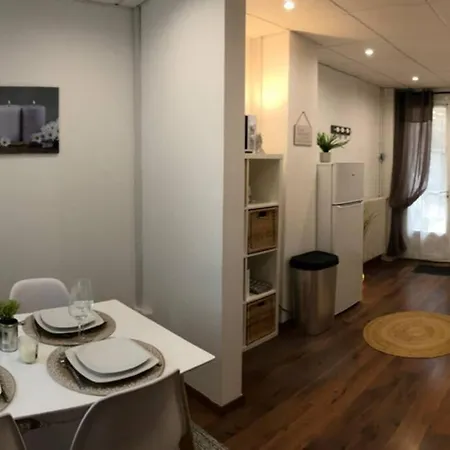 Appartamento Superbe Logement Centre Ville Avec Jardin *
